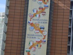 -新欧盟总部大厦