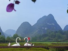 -靖西鹅泉风景区