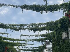 -望京一号(菜户营店)