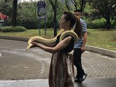 -无锡动物园·太湖欢乐园