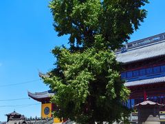 -上海青龙寺