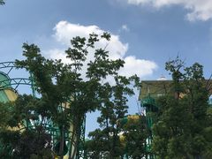 -苏州乐园森林水世界