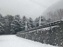 -陕西省红河谷森林公园