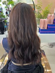 点击看大图 -GANO HAIR