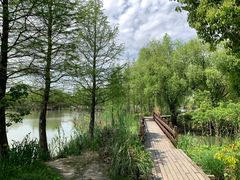 -长兴太湖图影湿地文化园