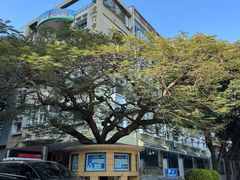 -厦门市少年儿童图书馆(中山公园馆)