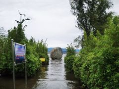 -洱海月湿地公园