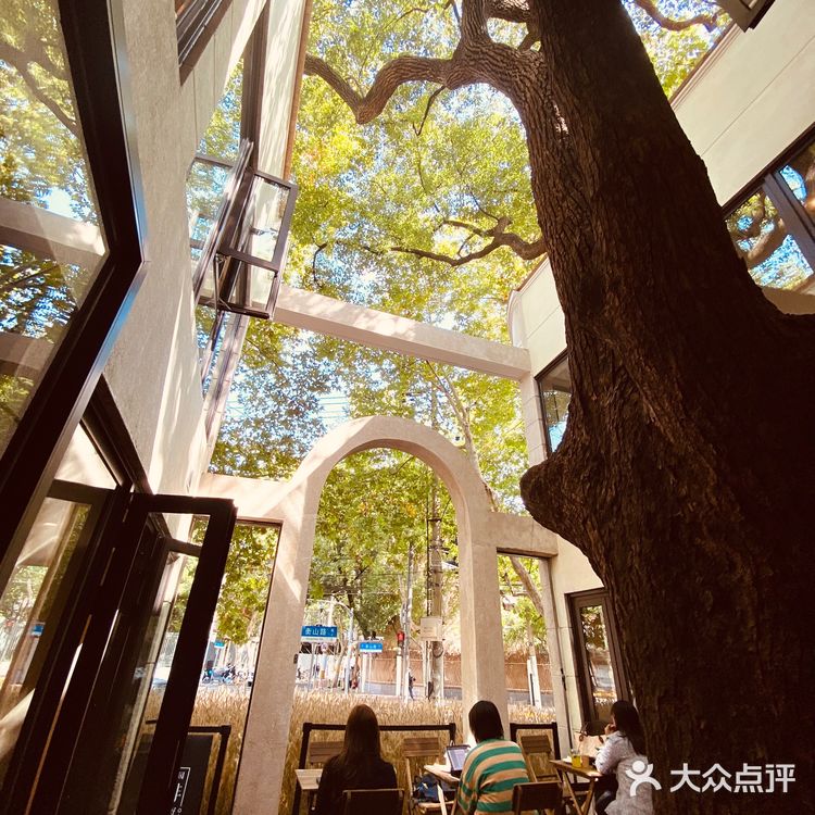 #魔都衡山路秋天最佳拍照打开卡地