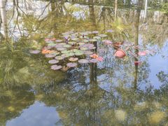 -斑斓西餐厅·自助茶点(高崎机场佰翔花园酒店)
