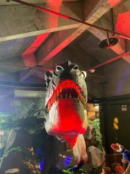 -恐龙探索乐园(磁器口店)