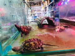 -三旗百汇商品城