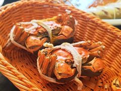 -蟹村草堂·苏式园林人文农家·大闸蟹