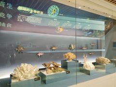 -中国湿地博物馆