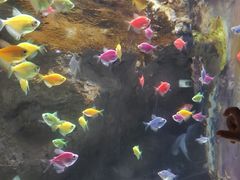 -苏州海洋馆