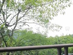 -老幺泉水鸡