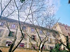 -武汉大学-樱园