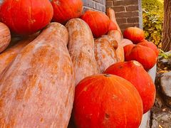 -三忘湖 SWANSEEN(柳荫公园店)