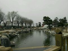 android_upload_pic-中国唐苑