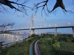 -芒洲湿地公园