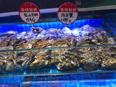 -鸽子侯·家宴·平价海鲜(市图书馆店)