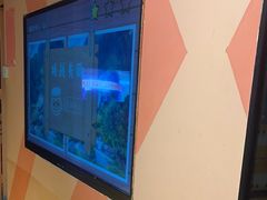 -不可思议减压馆·解压博物馆·摔碗发泄·团建定制