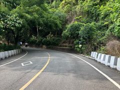 -大雁山风景区