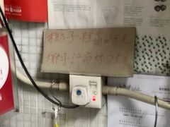 -洪馨椰子