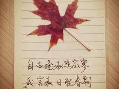 -高尔山公园