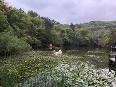 -天目湖山水园
