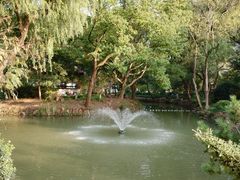 -上海醉白池公园