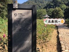 -广州市石门国家森林公园