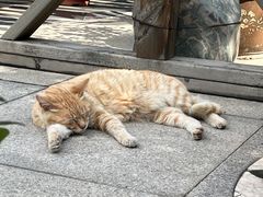 -开元寺