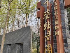 -洛阳市隋唐城遗址植物园