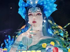 -海合安武汉极地海洋公园