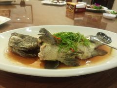 -汤膳坊(鸿昌广场店)