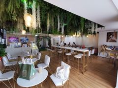 大堂-Husky Go! 哈士奇体验馆·宠物咖啡厅狗咖