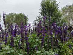 -汉长安城未央宫国家考古遗址公园