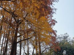 -西郊宾馆·1921餐厅