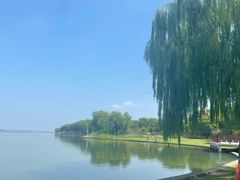 -丫丫蟹庄·苏式园林农家乐·阳澄湖大闸蟹(阳澄湖莲花岛店)