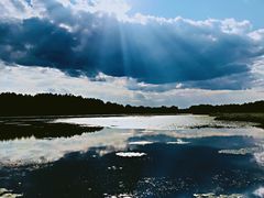 -塞罕坝国家级自然保护区