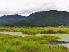 -腾冲北海湿地