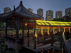 -龙头寺公园
