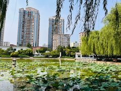-团结湖公园
