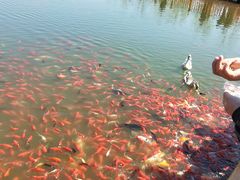 -卧龙湖
