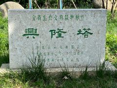 -兴隆文化园景区-兖州博物馆