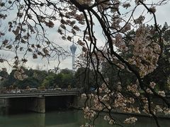 -红星桥(地铁站)