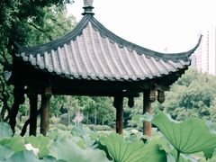 -光明港公园