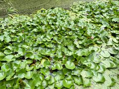 -苏州太湖国家湿地公园