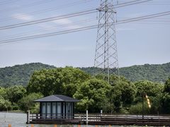 -长田漾湿地公园