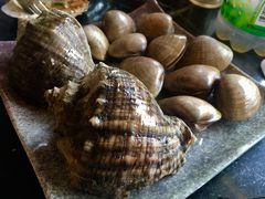 -泰白海鲜烧烤大全